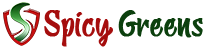 Logo not found